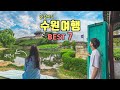 수원 뚜벅이 당일치기 여행코스 Best 7✨수원 가볼만한곳💡국내여행지&서울근교여행지 추천‼️아쿠아플라넷, 수원화성, 방화수류정, 플라잉수원, 행리단길☕️