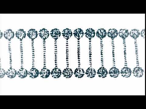 Abstract Dark DNA Double Helix Depth | Motion Background Animation | No Copyright | Visual Effects .
