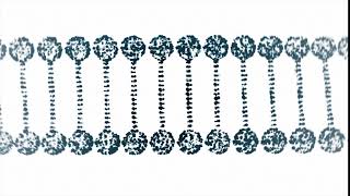 Abstract Dark DNA Double Helix Depth | Motion Background Animation | No Copyright | Visual Effects .