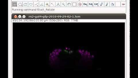 Interactive Stack Rotation