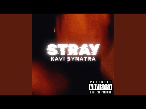Watch Stray on YouTube Watch Stray on YouTube