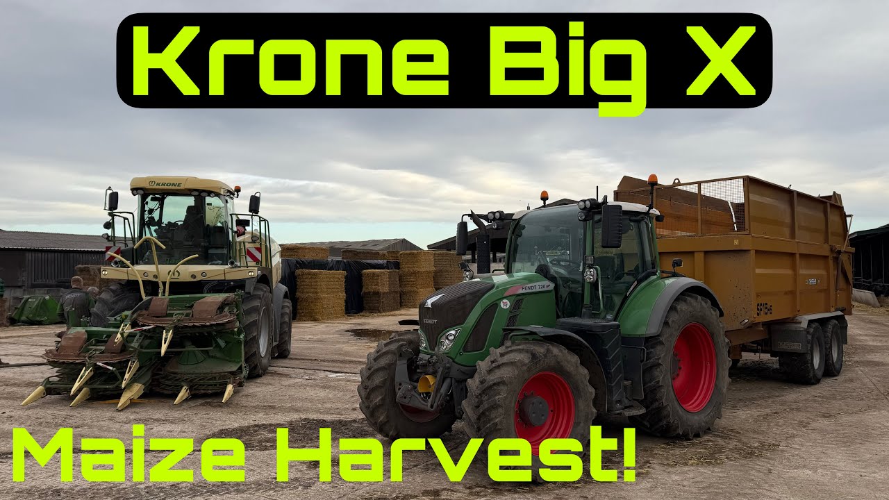 Maize Harvest 2024 Started! Big Toys!