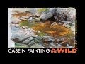 Casein Painting in the Wild—TRAILER