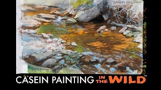 Casein Painting in the Wild—TRAILER