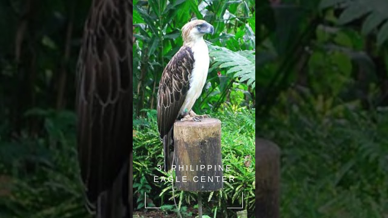 Top 10 Places to Visit When in Davao City