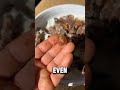 This Fruit Can Melt Metal &mdash; Seriously #short #fact #quickfacts #quickmind