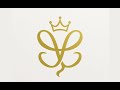 VelvetEcho logo motion design