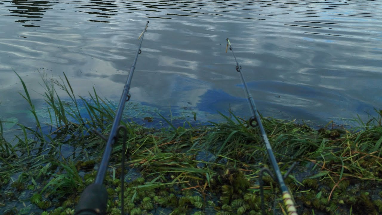 Pescarias de barranco tradicionais  está ao vivo!