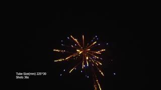 CE Sample Cake by Yiehlong Fireworks #China