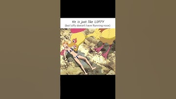 Yellow luffy, or new brother #anime #onepiece #luffy #nami #zoro #sanji