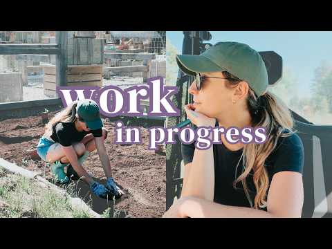june day in my life 🌿 planting a pumpkin patch, outlining my summer book & starting new projects