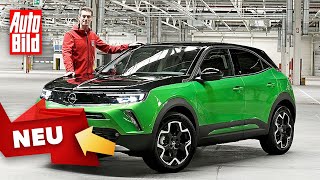 Opel Mokka/Mokka-e (2021): New Release - Test - Price - Market Launch - Info