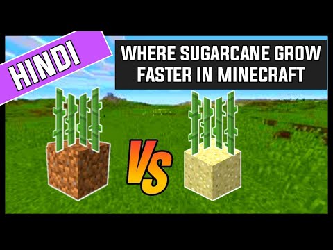 वीडियो: Minecraft में गन्ना कैसे उगाएं