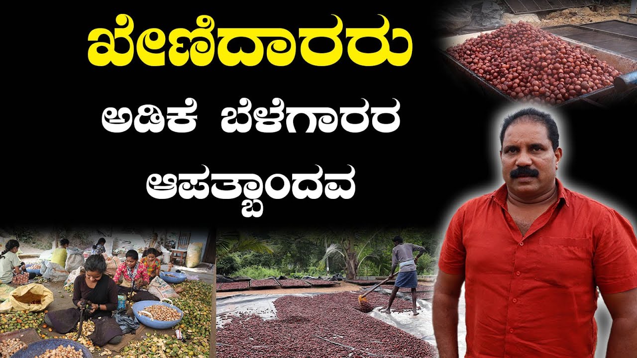 ಅಡಿಕೆ ಬೆಳೆಗಾರರ ಆಪತ್ಬಾಂದವ ಅಡಿಕೆ ಖೇಣಿದಾರ ಮೇಲಿನಕೊಪ್ಪ ಹರೀಶ್‌ | Thirthahalli | Shimoga