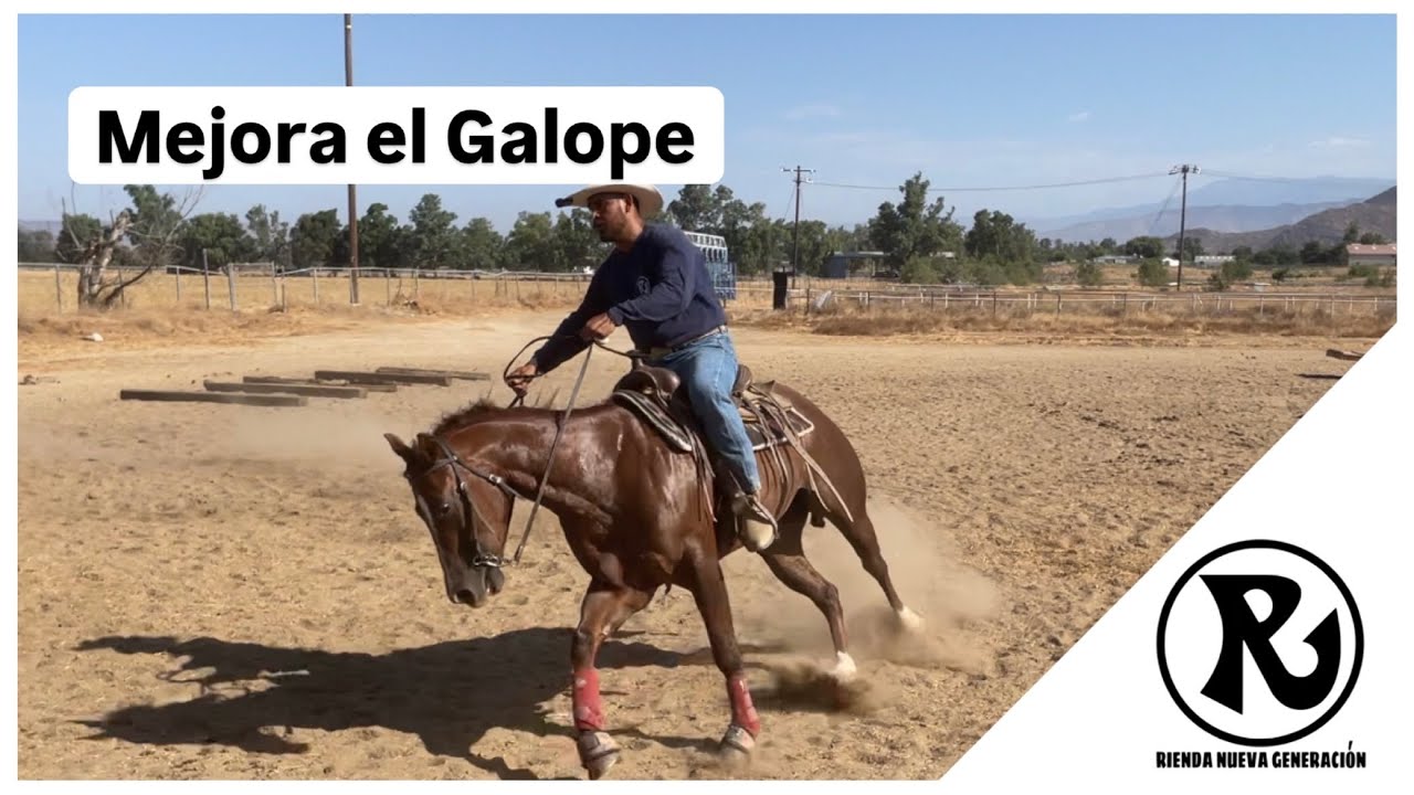 Como mejorar tu caballo con un solo ejercicio.