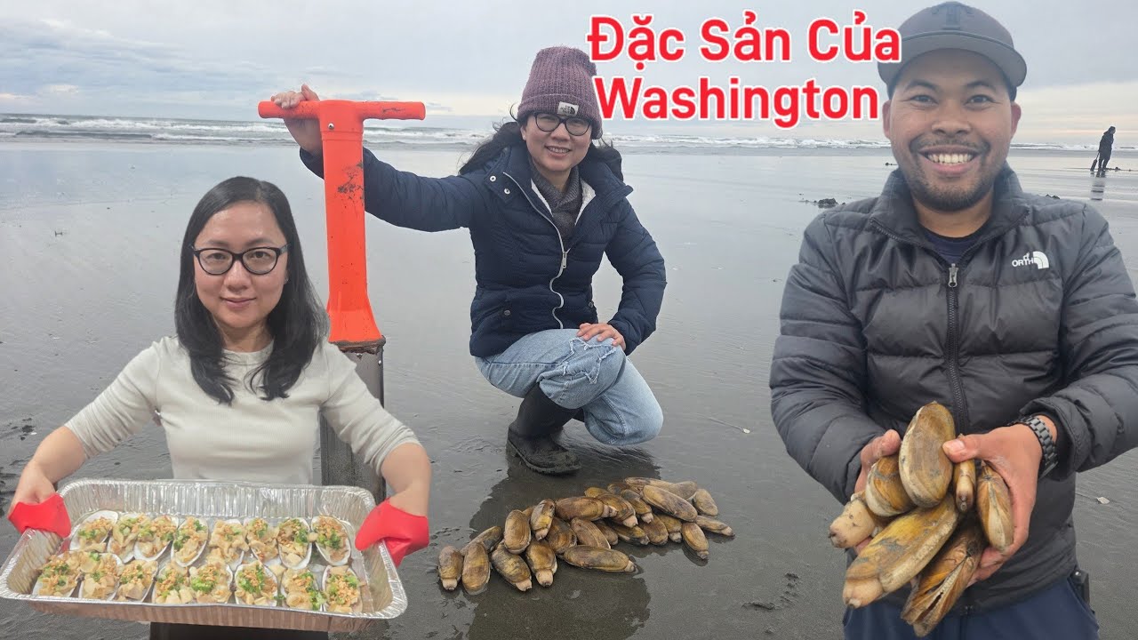 Hai Vợ Chồng Cody Đào Sò Ở Biển Washington Mỹ #2