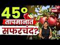 Apple Farming | ४५° तापमानात सफरचंदाची शेती! अनंतपूरच्या शेतकऱ्याचा चमत्कार! | N18V