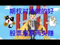 利用期权对冲实现股票涨跌两头赚钱 Part 1: 什么是期权