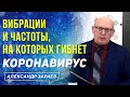 ВИБРАЦИИ И ЧАСТОТЫ, НА КОТОРЫХ ГИБНЕТ КОРОНАВИРУС l ФРАГМЕНТЫ СЕМИНАРА А. ЗАРАЕВА 2020