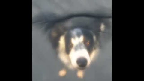 CLIP Guided Diffusion (Text-to-Image): We will not teach him those bits. You can see in his eyes