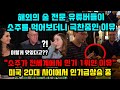 해외의 술 전문 유튜버들이 소주를 먹어보더니 극찬중인 이유