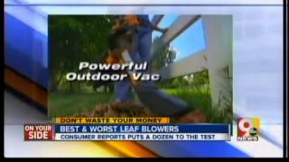 Best And Worst Leaf Blowers