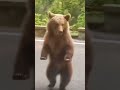I hope your Monday is bearable