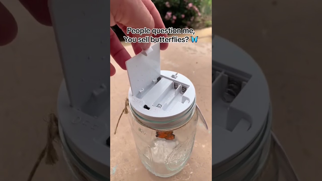 How do you catch butterflies? 🦋