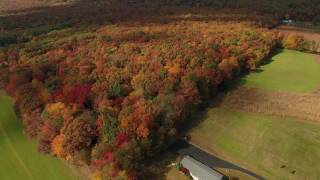 DJI Phantom 4 - Fall Foliage #1 in 4K
