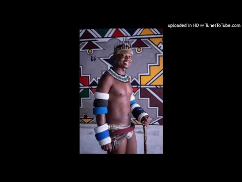Thando Mahlangu(Ndebele Activist),