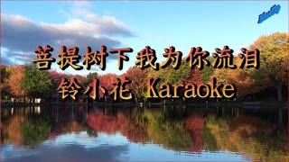 菩提树下我为你流泪 - Karaoke (铃小花)