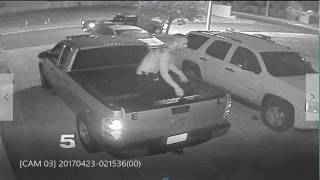 Brownsville Police Searching for Burglary of Vehicle Suspect