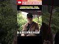 台灣政治內鬥