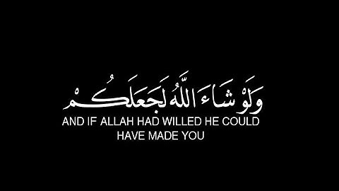 سورة النحل آية ٩٣ / ولو شاء الله لجعلكم امة واحده 🌱 بصوت عبد الرحمن مسعد 🌱 كروما قرآنيه