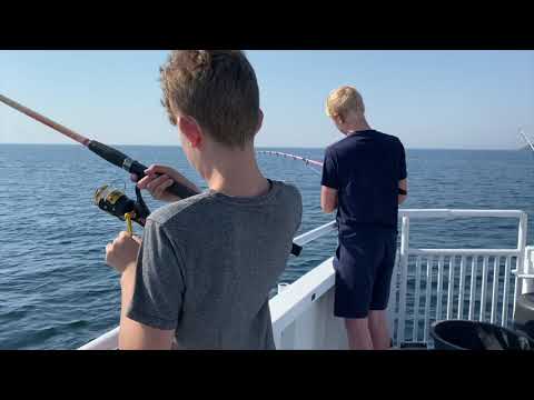 Video: Fort - De Ster Van Landskrona (Landskrona) - Alternatieve Mening