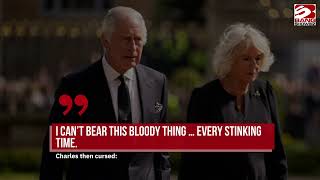 King Charles III handed pen 'just in case' by well-wisher after his leaky pen fiasco days before