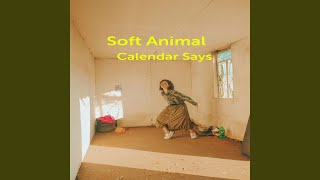 Calendar Says screenshot 3