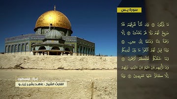 عاهد زينو سورة يس