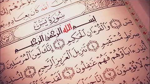 سورة ياسين حلات واتس اب