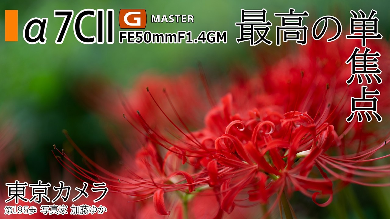 GM Lens Review] 