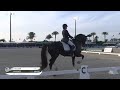Watch the cdi5 grand prix special followed by the cdi5 grand prix freestyle