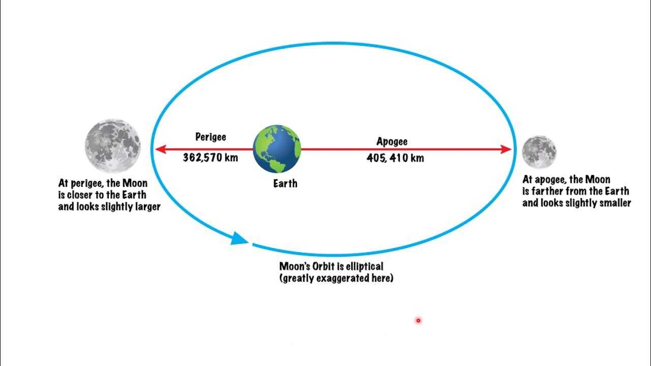 Соединение белой луны. Орбита Луны перигей и апогей. Апогей перигей арбитыземли. Перигелий Луны. Орбита Луны относительно земли.