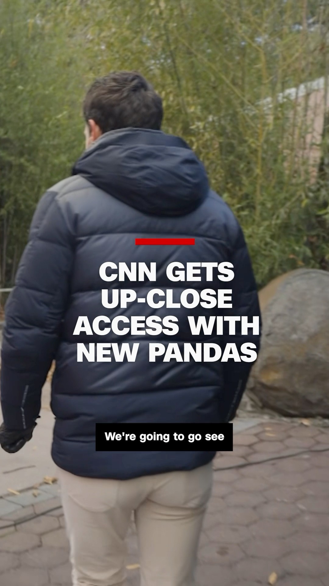 CNN gets up-close access with new pandas