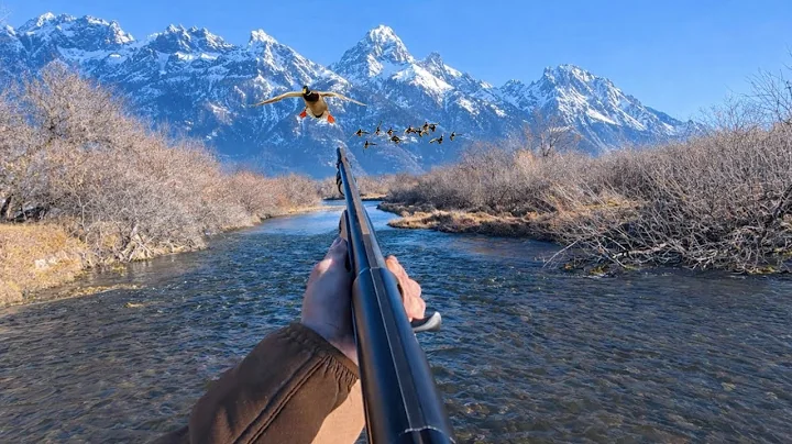 SOLO River Duck Hunting in The Mountains! (MIXED BAG)