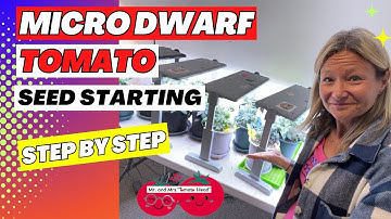 Starting MICRO DWARF Tomato Seeds-Step by Step