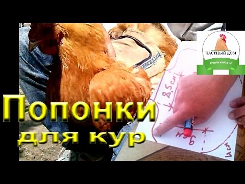 Как сшить курица своими руками выкройки