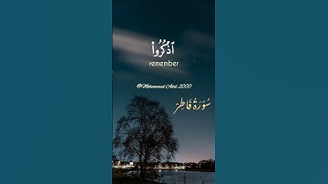 سورة فاطر : ٣          الشيخ : محمد صديق المنشاوي