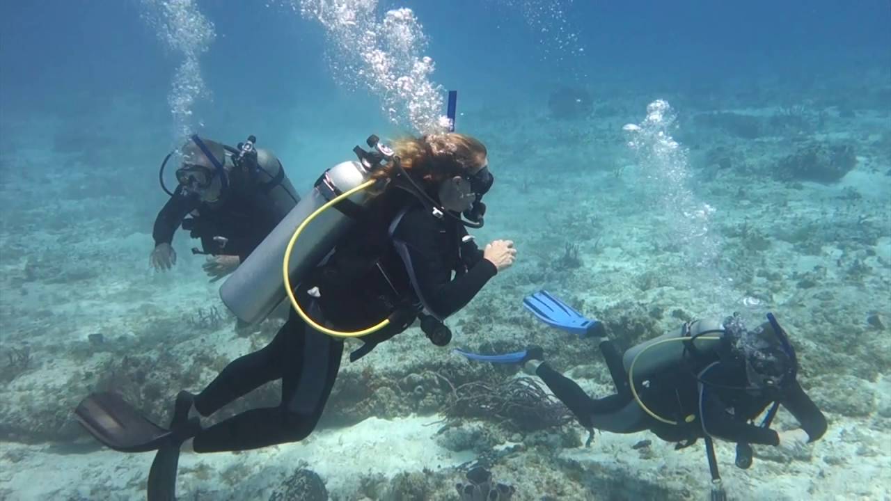 Cozumel 2016 Scuba Dive - YouTube