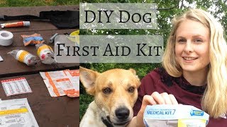 What to Put in a DOG FIRST AID KIT |