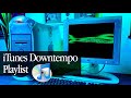 90s 2000s Lounge Downtempo Playlist Power Mac G4 Mix With ITunes Visualizer mp3